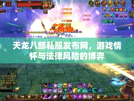 天龙八部私服发布网，游戏情怀与法律风险的博弈