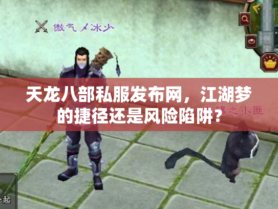 天龙八部私服发布网，江湖梦的捷径还是风险陷阱？