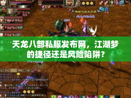 天龙八部私服发布网，江湖梦的捷径还是风险陷阱？