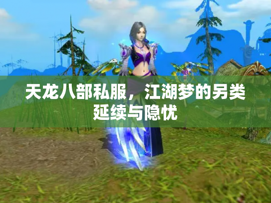 天龙八部私服，江湖梦的另类延续与隐忧