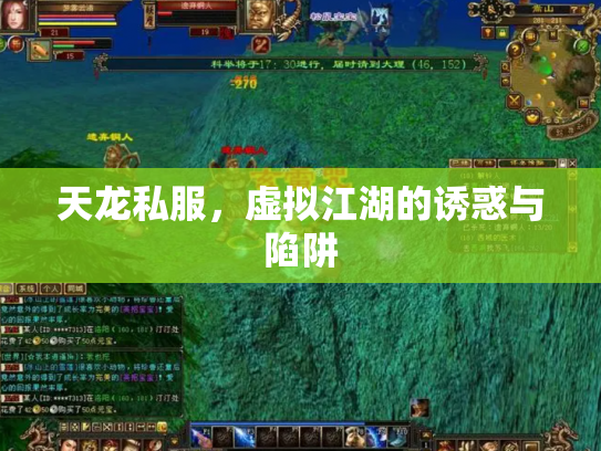 天龙私服，虚拟江湖的诱惑与陷阱