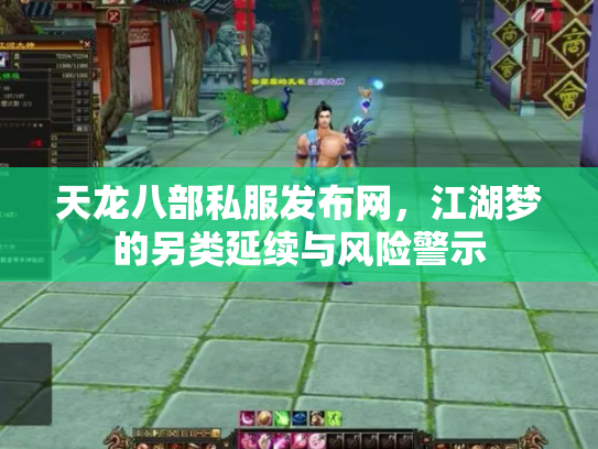 天龙八部私服发布网，江湖梦的另类延续与风险警示