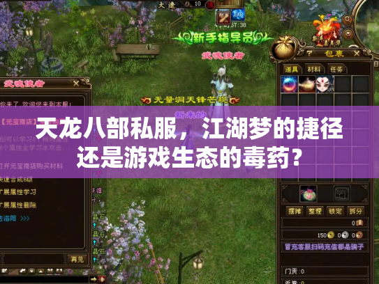 天龙八部私服，江湖梦的捷径还是游戏生态的毒药？