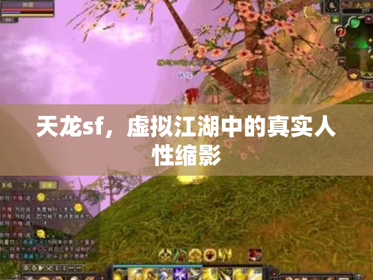 天龙sf，虚拟江湖中的真实人性缩影