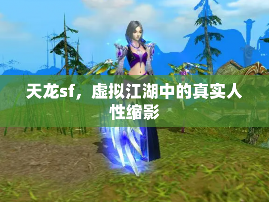 天龙sf，虚拟江湖中的真实人性缩影