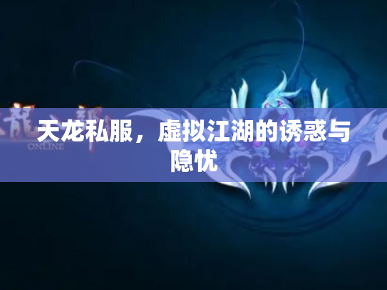 天龙私服，虚拟江湖的诱惑与隐忧