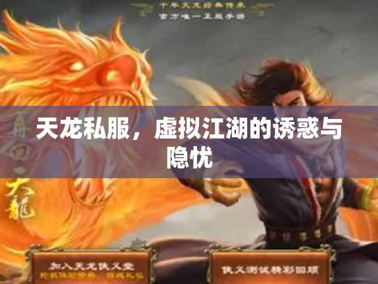 天龙私服，虚拟江湖的诱惑与隐忧