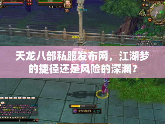 天龙八部私服发布网，江湖梦的捷径还是风险的深渊？