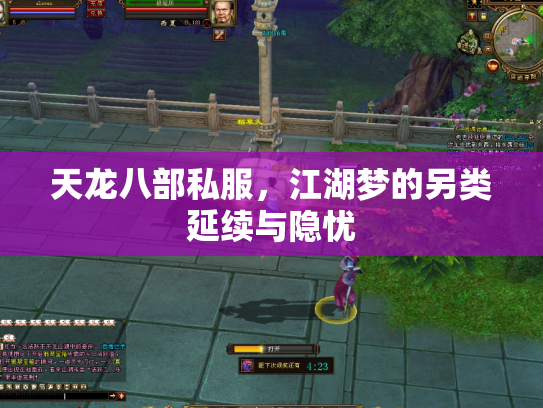天龙八部私服，江湖梦的另类延续与隐忧