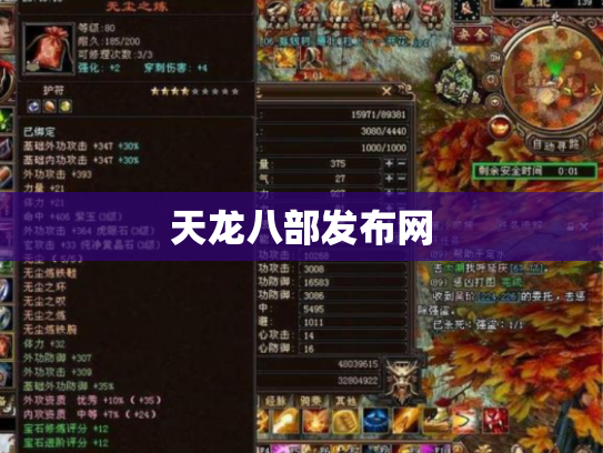 天龙八部发布网