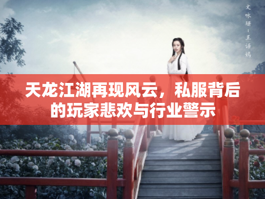 天龙江湖再现风云，私服背后的玩家悲欢与行业警示