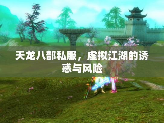 天龙八部私服，虚拟江湖的诱惑与风险