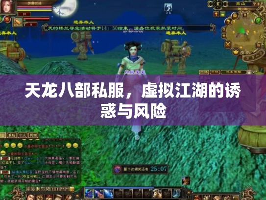 天龙八部私服，虚拟江湖的诱惑与风险