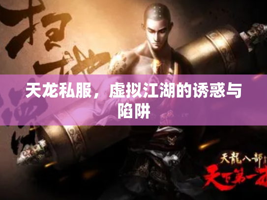 天龙私服，虚拟江湖的诱惑与陷阱