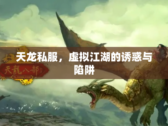 天龙私服，虚拟江湖的诱惑与陷阱