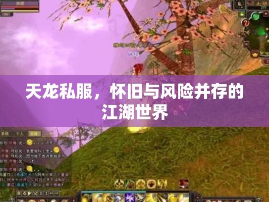 天龙私服，怀旧与风险并存的江湖世界