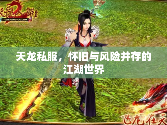 天龙私服，怀旧与风险并存的江湖世界