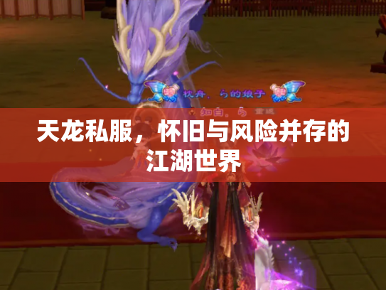 天龙私服，怀旧与风险并存的江湖世界
