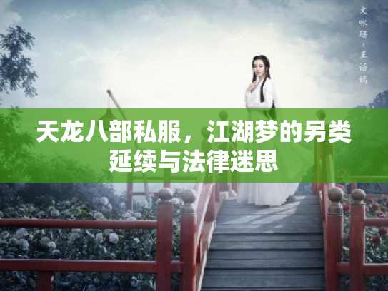 天龙八部私服，江湖梦的另类延续与法律迷思