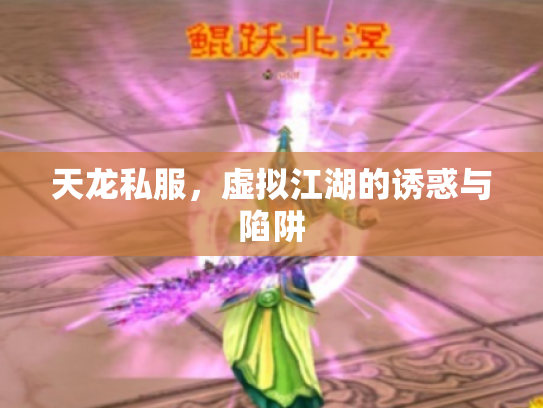 天龙私服，虚拟江湖的诱惑与陷阱