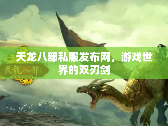 天龙八部私服发布网，游戏世界的双刃剑
