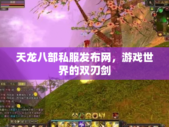 天龙八部私服发布网，游戏世界的双刃剑