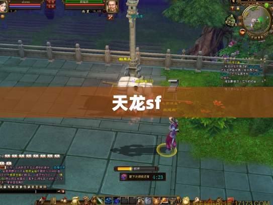 天龙sf