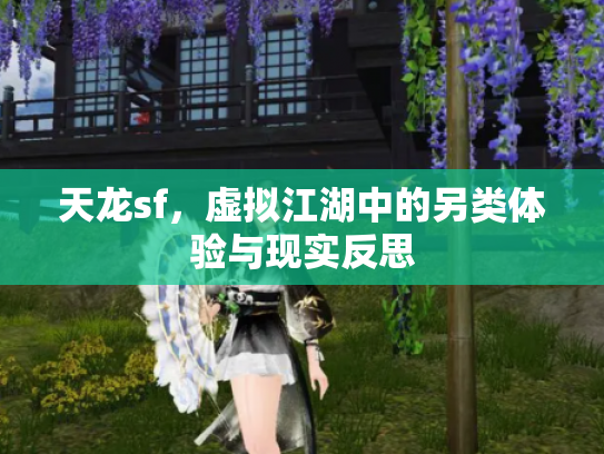 天龙sf，虚拟江湖中的另类体验与现实反思