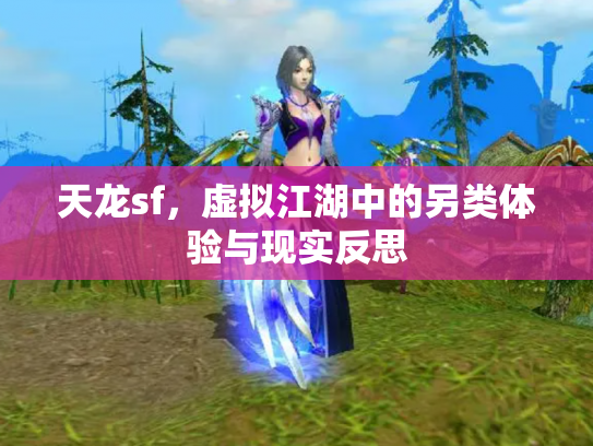 天龙sf，虚拟江湖中的另类体验与现实反思