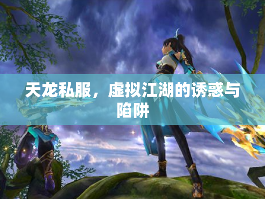 天龙私服，虚拟江湖的诱惑与陷阱