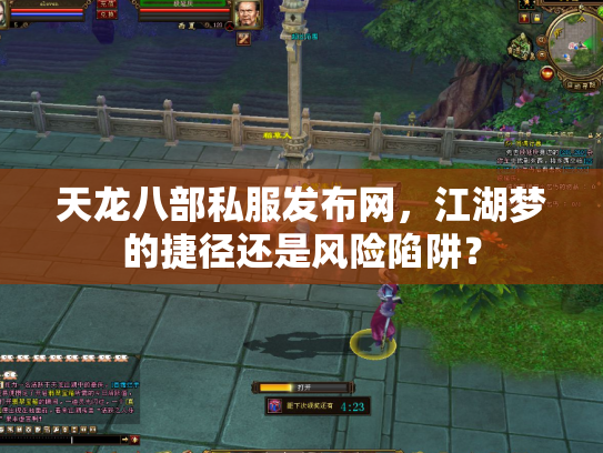 天龙八部私服发布网，江湖梦的捷径还是风险陷阱？
