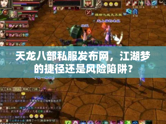 天龙八部私服发布网，江湖梦的捷径还是风险陷阱？