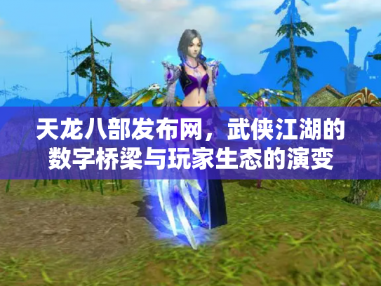 天龙八部发布网，武侠江湖的数字桥梁与玩家生态的演变