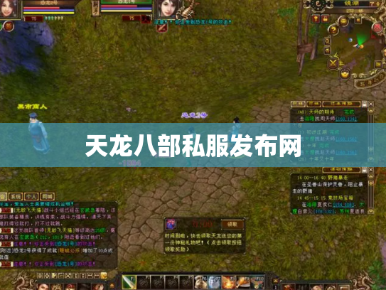 天龙八部私服发布网