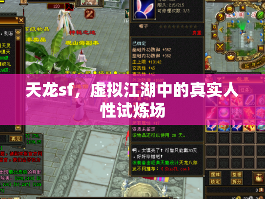 天龙sf，虚拟江湖中的真实人性试炼场