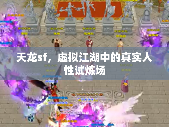 天龙sf，虚拟江湖中的真实人性试炼场
