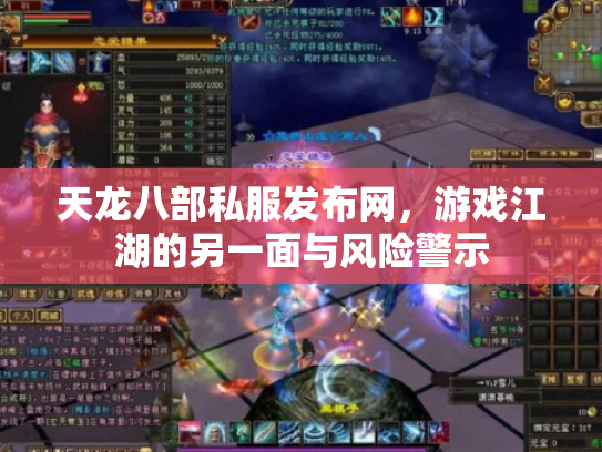 天龙八部私服发布网，游戏江湖的另一面与风险警示