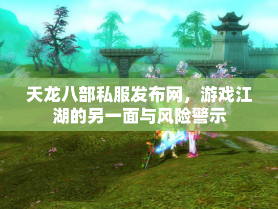 天龙八部私服发布网，游戏江湖的另一面与风险警示