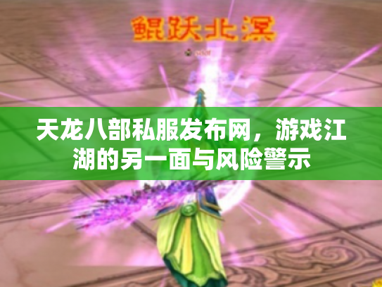 天龙八部私服发布网，游戏江湖的另一面与风险警示