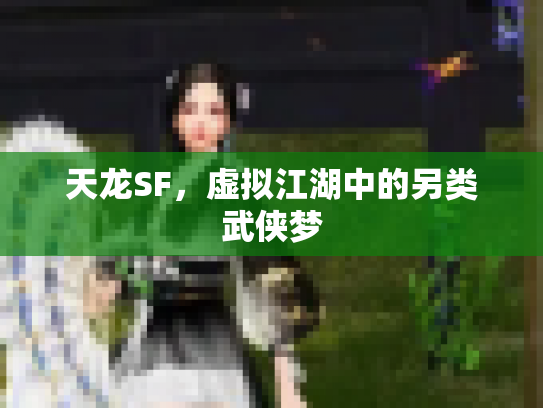 天龙SF，虚拟江湖中的另类武侠梦