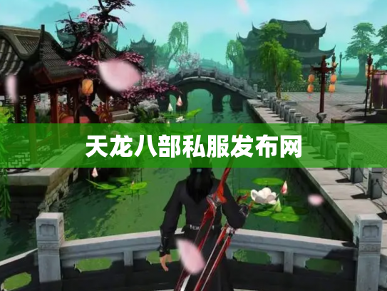 天龙八部私服发布网