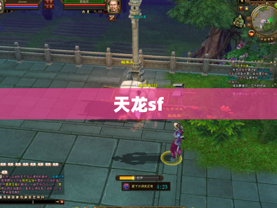 天龙sf