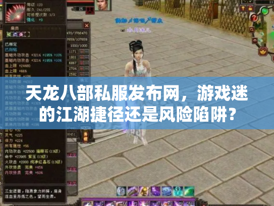 天龙八部私服发布网，游戏迷的江湖捷径还是风险陷阱？