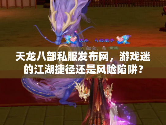天龙八部私服发布网，游戏迷的江湖捷径还是风险陷阱？