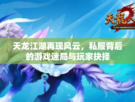 天龙江湖再现风云，私服背后的游戏迷局与玩家抉择