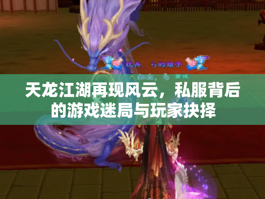 天龙江湖再现风云，私服背后的游戏迷局与玩家抉择