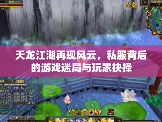 天龙江湖再现风云，私服背后的游戏迷局与玩家抉择