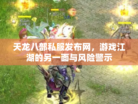 天龙八部私服发布网，游戏江湖的另一面与风险警示