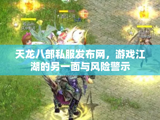 天龙八部私服发布网，游戏江湖的另一面与风险警示
