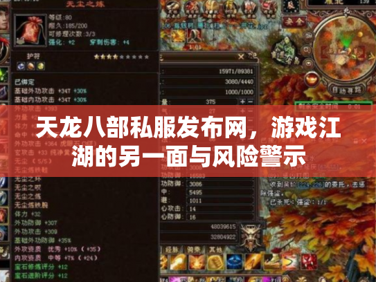 天龙八部私服发布网，游戏江湖的另一面与风险警示